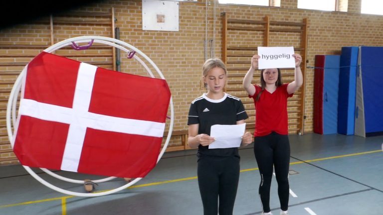 Rhönrad WM 2022 in Sonderburg, DK