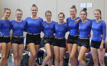 Regionalliga im olympischen Gerätturnen