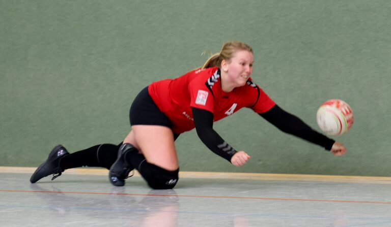 Rückblick Faustballwochenende 26./27.11.2022