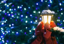 Die Geschäftsstelle des SHTV öffnet wieder am 2. Januar. Das ganze Team wünscht dir ein schönes Weihnachtsfest & einen guten Rutsch! Foto: Aaron Burden, Unsplash