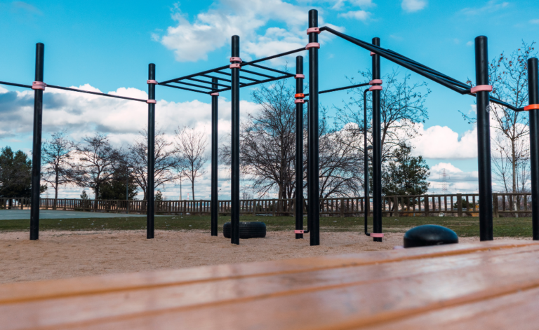 Calisthenics-Fortbildungen für Anfänger und Fortgeschrittene!