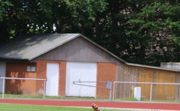 Rückblick Faustballwochenende 1./2. Juni 2024