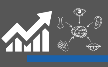 Gehirn, Sinne, Bewegung: Der Schlüssel zu besserer Fitness für Jung und Alt
