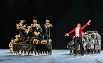 Silber bei der Eurogym Eurogym 2024