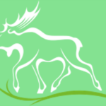 Logo Tierpark NMS
