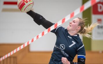 Vorschau Faustballwochenende 1./2. Februar 2025