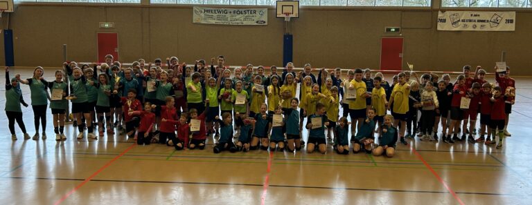 Hallenfaustball Schulmeisterschaft im SHTV