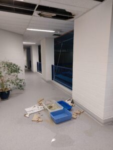 Wasser läuft über das Dach ins 1. OG und beschädigt die Decke