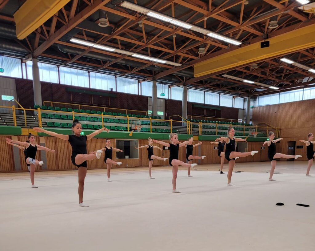 Eine Gruppe von Personen in einem Turnsaal, die Gymnastikübungen mit Bällen machen.
