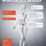 12 Doping – Gesundheitliche Folgen 1