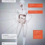 12 Doping – Gesundheitliche Folgen 2