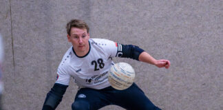 Vorschau Faustballwochenende 15.+16. November 2025