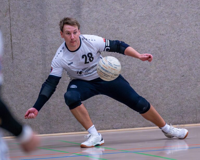 Vorschau Faustballwochenende 15.+16. November 2025