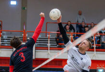 Rückblick Faustballwochenende 8.+9. November 2025