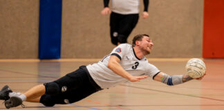 Vorschau Faustballwochenende 8./9. November 2025