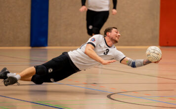 Vorschau Faustballwochenende 8./9. November 2025