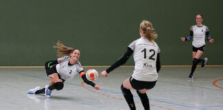 Vorschau Faustballwochenende 17.+18. Januar 2026