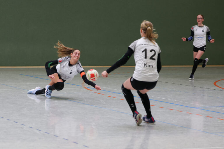 Vorschau Faustballwochenende 17.+18. Januar 2026