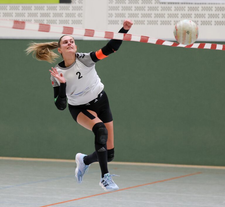 Vorschau Faustballwochenende 10.+11. Januar 2026