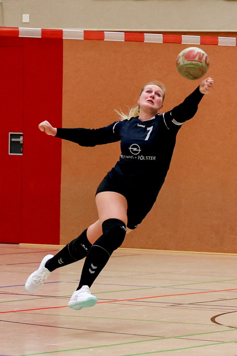 Vorschau Faustballwochenende 28.2+1.03.2026