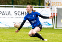 Vorschau Faustballwochenende 20.+21. Juni 2026